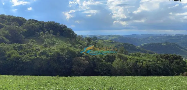 Fazenda / Sítio / Chácara à venda, 219000m² no , Catanduvas
