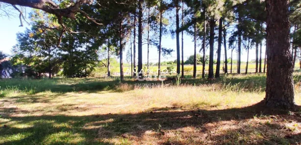 Terreno / Lote / Condomínio à venda, 37m² no Pé de Plátano, Santa Maria
