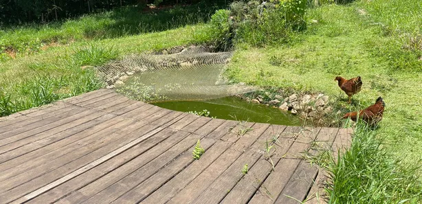 Fazenda / Sítio / Chácara com 3 Quartos à venda, 8000m² no , Mairinque