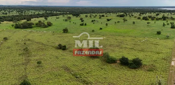 Fazenda / Sítio / Chácara à venda, 500m² no , Formoso do Araguaia