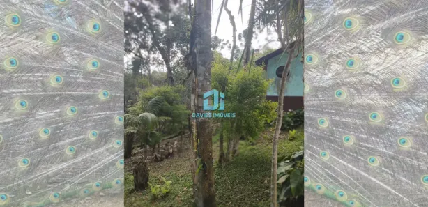Fazenda / Sítio / Chácara à venda, 37100m² no Mandasaia, Campina Grande do Sul