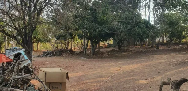 Fazenda / Sítio / Chácara com 2 Quartos à venda, 10000m² no , Brasília