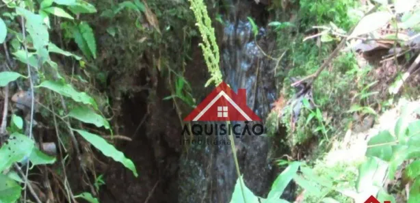 Fazenda / Sítio / Chácara com 1 Quarto à venda, 20000m² no Felpudo, Campo Largo
