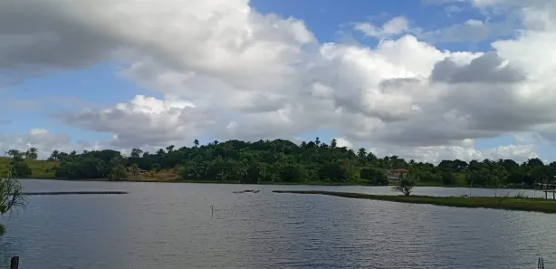 Fazenda / Sítio / Chácara com 3 Quartos à venda, 2900m² no , Mata de São João