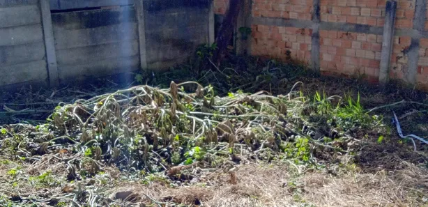 Casa com 2 Quartos para alugar, 20m² no Guarani, Colombo