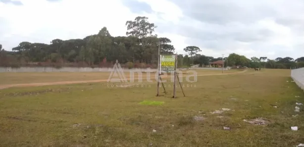 Terreno / Lote / Condomínio para alugar, 5000m² no Ipê, São José dos Pinhais
