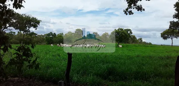 Fazenda / Sítio / Chácara com 1 Quarto à venda, 475m² no , Rio Sono