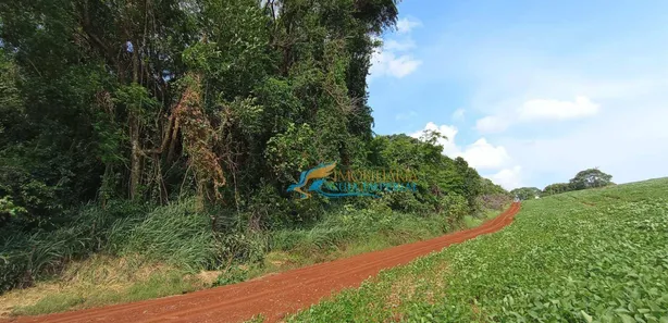 Fazenda / Sítio / Chácara à venda, 13000m² no , Corbélia