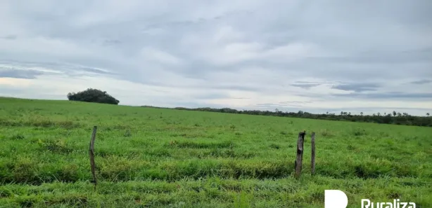 Fazenda / Sítio / Chácara à venda, 1621m² no , Santa Maria do Tocantins