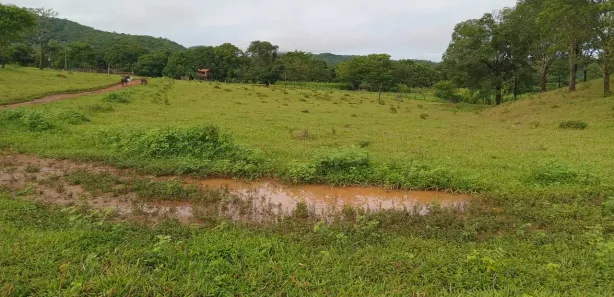 Fazenda / Sítio / Chácara com 3 Quartos à venda, 130000m² no , Padre Bernardo