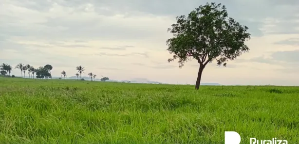 Fazenda / Sítio / Chácara à venda, 416m² no , Bernardo Sayão
