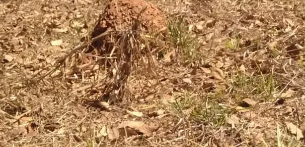 Terreno / Lote / Condomínio à venda, 1007m² no , Capim Branco