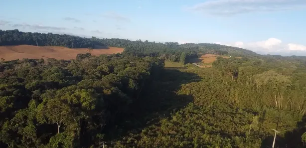 Fazenda / Sítio / Chácara à venda, 44000m² no Área Rural de Almirante Tamandaré, Almirante Tamandaré