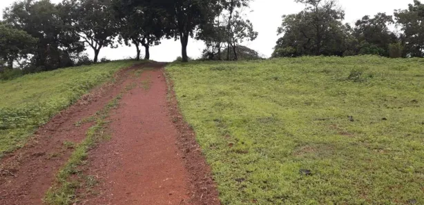 Fazenda / Sítio / Chácara com 4 Quartos à venda, 700m² no , Padre Bernardo