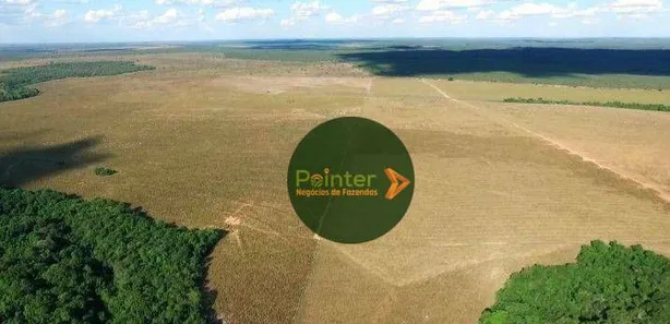 Fazenda / Sítio / Chácara à venda, 173707600m² no Presidente Kennedy, Presidente Kennedy
