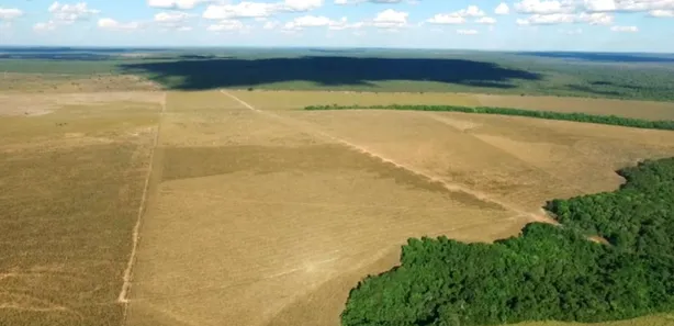 Fazenda / Sítio / Chácara à venda, 3584m² no , Presidente Kennedy