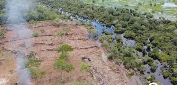 Fazenda / Sítio / Chácara à venda no , Lagoa da Confusão