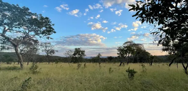 Terreno / Lote / Condomínio à venda, 20000m² no Centro, Pirenópolis