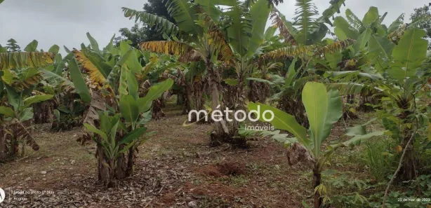 Terreno / Lote / Condomínio à venda, 1000m² no Chacara Santa Branca, Santa Branca