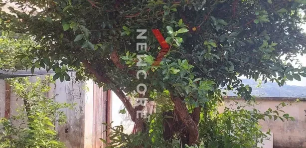 Casa com 4 Quartos à venda, 200m² no Esplanada, Sabará