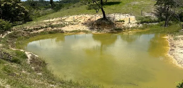 Fazenda / Sítio / Chácara com 4 Quartos à venda, 130000m² no Centro, Florestal