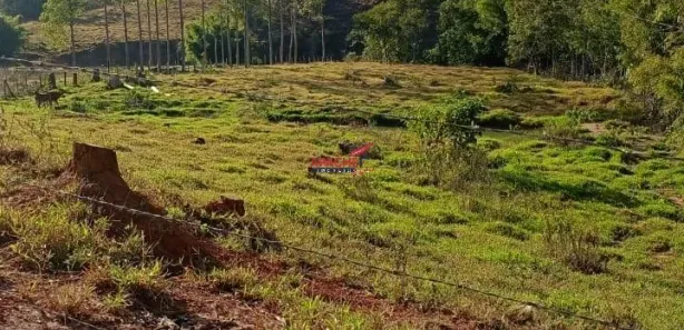 Fazenda / Sítio / Chácara com 1 Quarto à venda, 8800m² no Área Rural de Viçosa, Viçosa