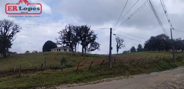 Fazenda / Sítio / Chácara com 2 Quartos à venda, 33445m² no Santa Gema, Colombo