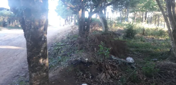 Terreno / Lote / Condomínio à venda, 1000m² no Ortizes, Piedade