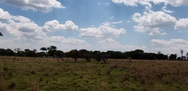Fazenda / Sítio / Chácara à venda, 20000m² no Núcleo Rural Lago Oeste, Brasília
