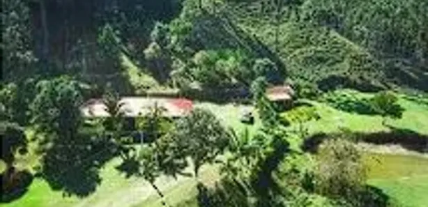 Fazenda / Sítio / Chácara à venda, 16940000m² no , Rio Branco do Sul