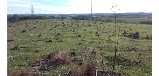 Fazenda / Sítio / Chácara com 1 Quarto à venda, 47m² no Vila Cesari Purgato, Mombuca