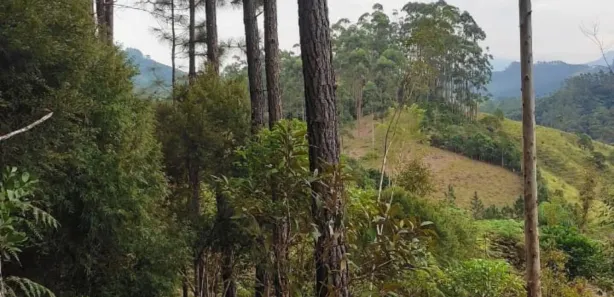 Terreno / Lote / Condomínio à venda, 65228m² no São João Batista, São João Batista