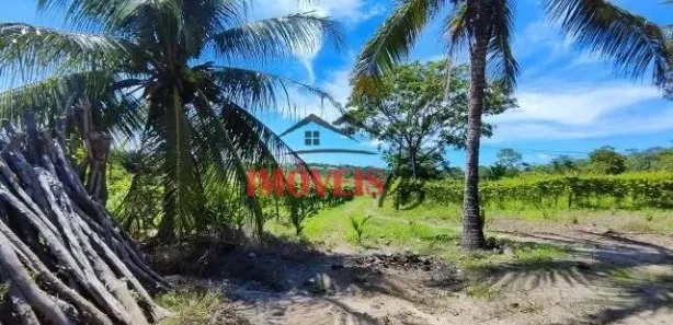 Fazenda / Sítio / Chácara com 2 Quartos à venda, 4m² no Gurugi, Conde