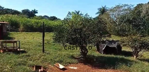 Fazenda / Sítio / Chácara com 3 Quartos à venda, 160m² no , Bela Vista do Paraíso