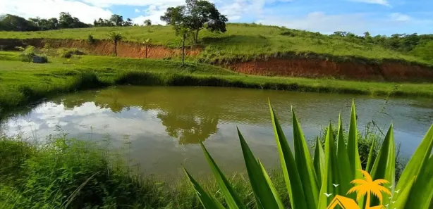 Fazenda / Sítio / Chácara com 1 Quarto à venda, 48400m² no Bonsucesso (Bacaxá), Saquarema