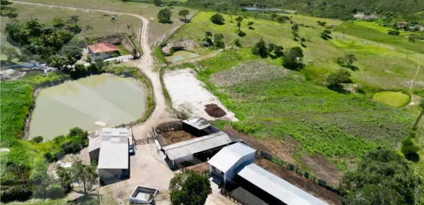 Fazenda / Sítio / Chácara com 3 Quartos à venda, 220000m² no , Sairé