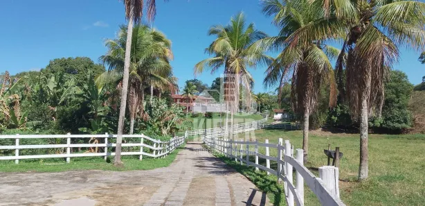 Fazenda / Sítio / Chácara com 5 Quartos à venda, 1220m² no , Rio Bonito