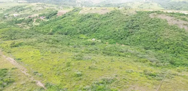 Fazenda / Sítio / Chácara com 2 Quartos à venda, 210000m² no , Pombos