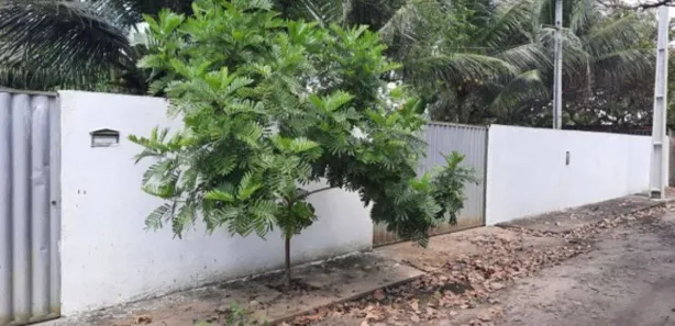 Fazenda / Sítio / Chácara com 2 Quartos à venda, 340m² no , Conde