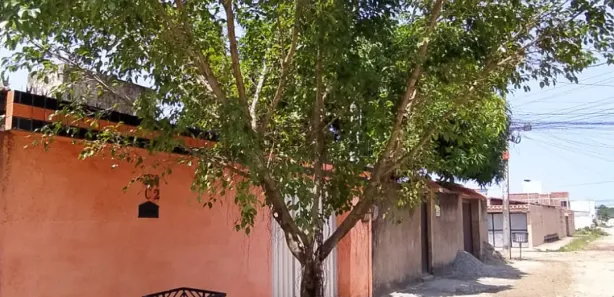 Casa com 2 Quartos para venda ou aluguel, 80m² no Pau Amarelo, Paulista