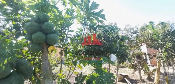 Fazenda / Sítio / Chácara com 2 Quartos à venda, 80m² no Centro (Tupi), Piracicaba