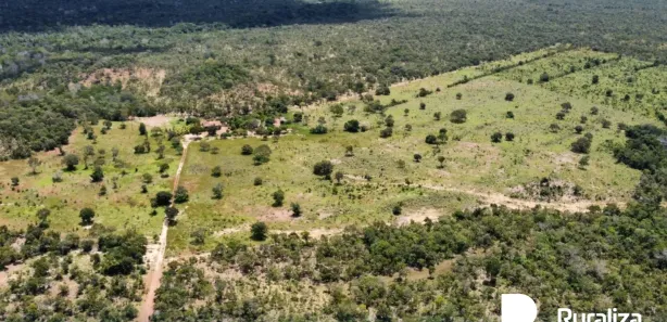 Fazenda / Sítio / Chácara à venda, 290m² no , Pium