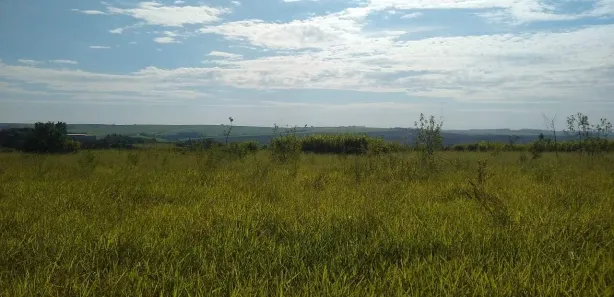 à venda, 104000m² no Jardim Nova Limeira, Limeira