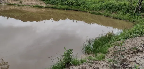 Terreno / Lote / Condomínio à venda, 20000m² no , Fortuna de Minas