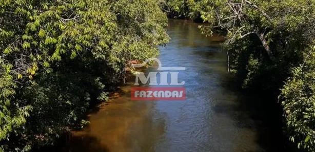 Fazenda / Sítio / Chácara à venda, 13000m² no , Ponte Alta do Tocantins