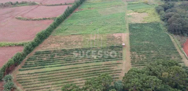 Fazenda / Sítio / Chácara à venda, 84089m² no Santa Felicidade, Cascavel