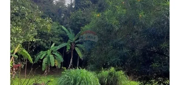 Fazenda / Sítio / Chácara com 4 Quartos à venda, 40000m² no Parque da Barragem Setor 08, Águas Lindas de Goiás