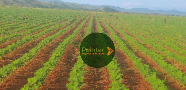 Fazenda / Sítio / Chácara à venda, 15972000m² no Área Rural de Gurupi, Gurupi