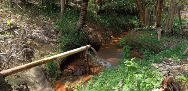 Fazenda / Sítio / Chácara com 2 Quartos à venda, 200000m² no Nossa Senhora do O, Ipojuca