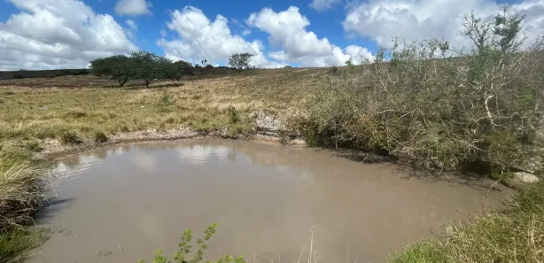 Fazenda / Sítio / Chácara à venda, 230000m² no , Sairé